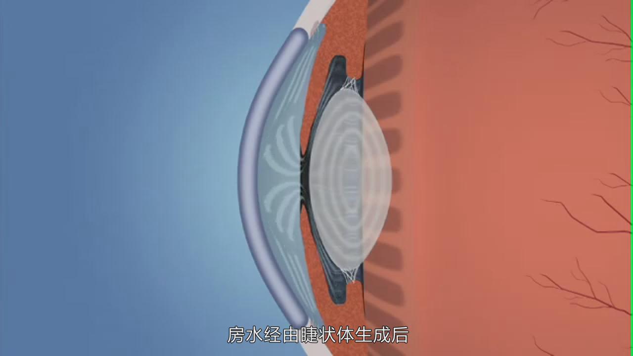 &#20339;&#21338;&#23448;&#26041;&#32593;&#31449;&#95;&#20339;&#21338;&#106;&#105;&#97;&#98;&#111;&#40;&#20013;&#22269;&#41;