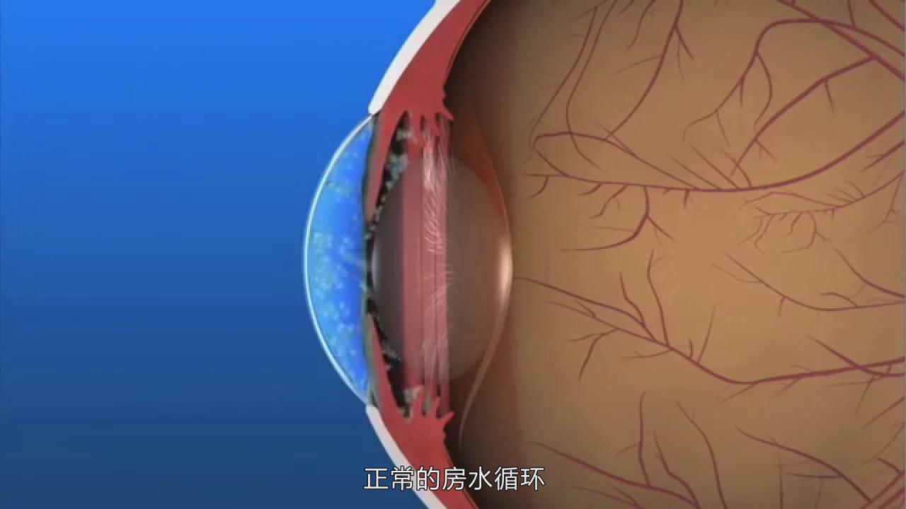 &#20339;&#21338;&#23448;&#26041;&#32593;&#31449;&#95;&#20339;&#21338;&#106;&#105;&#97;&#98;&#111;&#40;&#20013;&#22269;&#41;