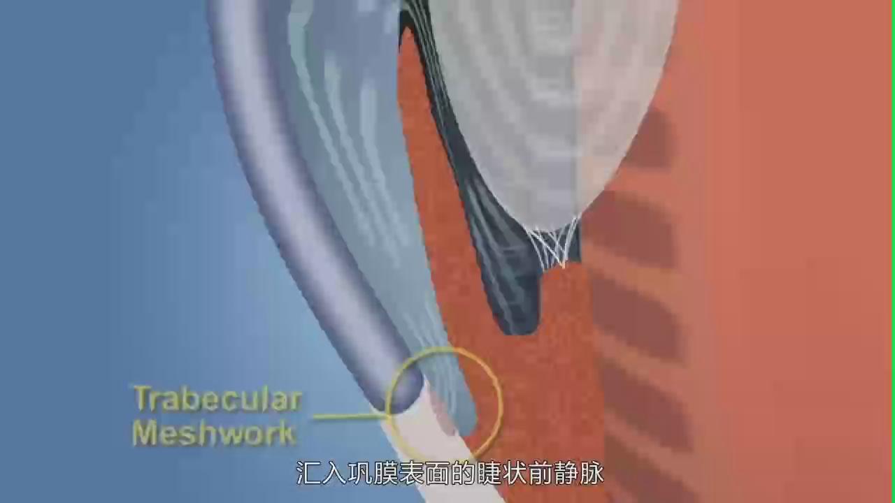 &#20339;&#21338;&#23448;&#26041;&#32593;&#31449;&#95;&#20339;&#21338;&#106;&#105;&#97;&#98;&#111;&#40;&#20013;&#22269;&#41;
